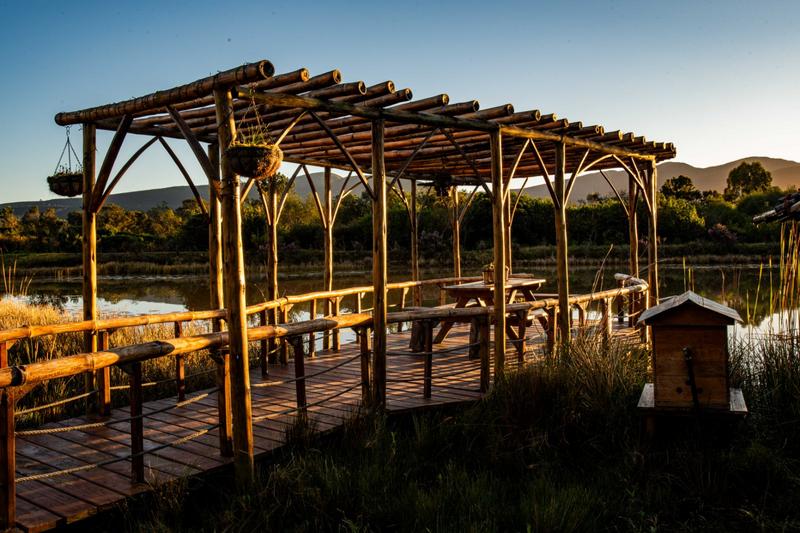 5 Bedroom Property for Sale in The Crags Western Cape